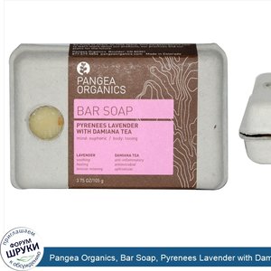 Pangea_Organics__Bar_Soap__Pyrenees_Lavender_with_Damiana_Tea__3.75_oz__105_g_.jpg