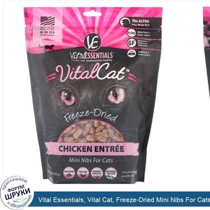 Vital_Essentials__Vital_Cat__Freeze_Dried_Mini_Nibs_For_Cats__Chicken_Entree__12_oz__340_g_.jpg