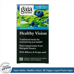 Gaia_Herbs__Healthy_Vision__60_Vegan_Liquid_Phyto_Caps.jpg