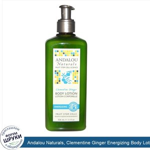 Andalou_Naturals__Clementine_Ginger_Energizing_Body_Lotion__11_fl_oz__326_ml_.jpg