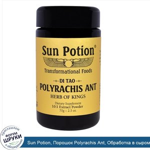 Sun_Potion__Порошок_Polyrachis_Ant__Обработка_в_сыром_виде__2_5_унции__70_г_.jpg