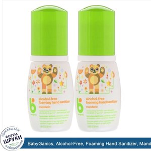 BabyGanics__Alcohol_Free__Foaming_Hand_Sanitizer__Mandarin__2_Pack__1.69_fl_oz__50_ml__Each.jpg