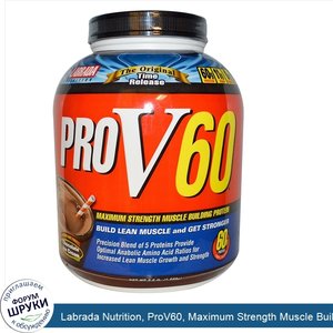 Labrada_Nutrition__ProV60__Maximum_Strength_Muscle_Building_Protein__Chocolate_Ice_Cream_Flavo...jpg