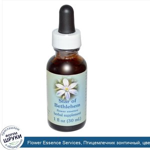 Flower_Essence_Services__Птицемлечник_зонтичный__цветочная_эссенция__30_мл.jpg