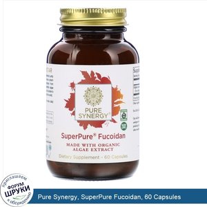 Pure_Synergy__SuperPure_Fucoidan__60_Capsules.jpg