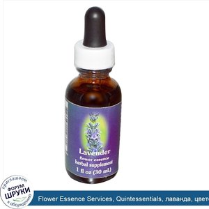 Flower_Essence_Services__Quintessentials__лаванда__цветочная_эссенция__30_мл.jpg