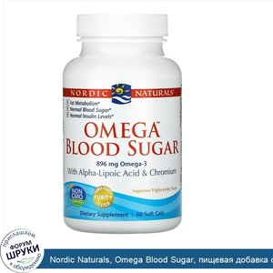 Nordic_Naturals__Omega_Blood_Sugar__пищевая_добавка_с_омега_3_для_поддержания_уровня_глюкозы_в...jpg