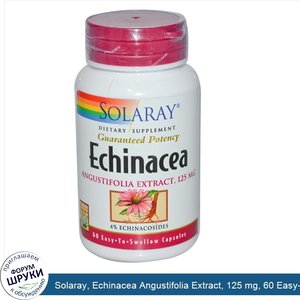 Solaray__Echinacea_Angustifolia_Extract__125_mg__60_Easy_to_Swallow_Capsules.jpg