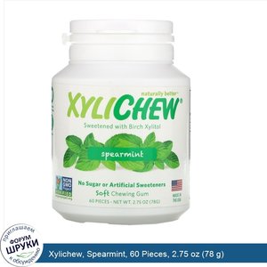 Xylichew__Spearmint__60_Pieces__2.75_oz__78_g_.jpg