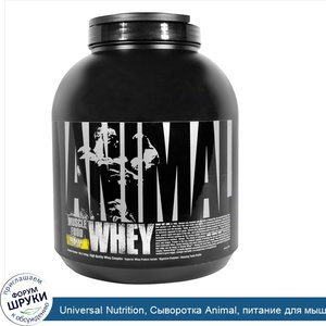 Universal_Nutrition__Сыворотка_Animal__питание_для_мышц__банановый_крем__4_фунта__1_81_кг_.jpg