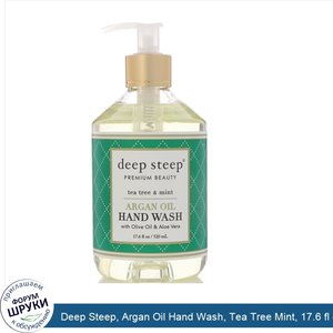 Deep_Steep__Argan_Oil_Hand_Wash__Tea_Tree_Mint__17.6_fl_oz__520_ml_.jpg