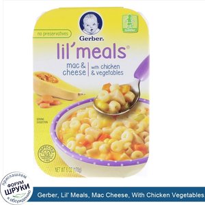 Gerber__Lil__Meals__Mac_Cheese__With_Chicken_Vegetables__6_oz__170_g_.jpg