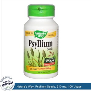 Nature_s_Way__Psyllium_Seeds__610_mg__100_Vcaps.jpg