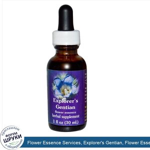 Flower_Essence_Services__Explorer_s_Gentian__Flower_Essence__1_fl_oz__30_ml_.jpg