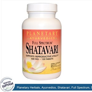 Planetary_Herbals__Ayurvedics__Shatavari__Full_Spectrum__500_mg__120_Tablets.jpg