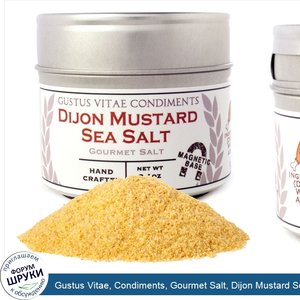 Gustus_Vitae__Condiments__Gourmet_Salt__Dijon_Mustard_Sea_Salt__3.1_oz__87_g_.jpg