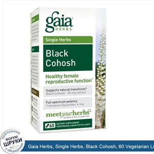 Gaia_Herbs__Single_Herbs__Black_Cohosh__60_Vegetarian_Liquid_Phyto_Caps.jpg