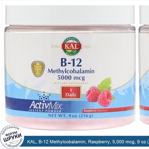 KAL__B_12_Methylcobalamin__Raspberry__5_000_mcg__9_oz__256_g_.jpg