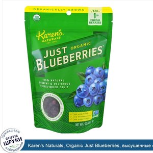 Karen_s_Naturals__Organic_Just_Blueberries__высушенные_сублимацией_фрукты__2_унции__56_г_.jpg