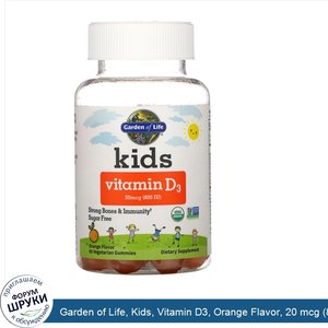 Garden_of_Life__Kids__Vitamin_D3__Orange_Flavor__20_mcg__800_IU___60_Vegetarian_Gummies.jpg