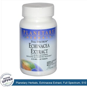 Planetary_Herbals__Echinacea_Extract__Full_Spectrum__510_mg__60_Tablets.jpg