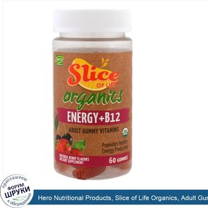 Hero_Nutritional_Products__Slice_of_Life_Organics__Adult_Gummy_Vitamins__Energy___B12__Natural...jpg