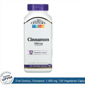 21st_Century__Cinnamon__1_000_mg__120_Vegetarian_Capsules.jpg