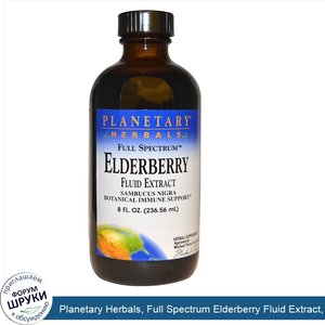 Planetary_Herbals__Full_Spectrum_Elderberry_Fluid_Extract__8_fl_oz__236.56_ml_.jpg