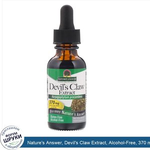 Nature_s_Answer__Devil_s_Claw_Extract__Alcohol_Free__370_mg__1_fl_oz__30_ml_.jpg