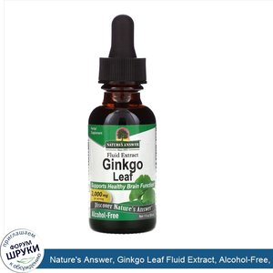 Nature_s_Answer__Ginkgo_Leaf_Fluid_Extract__Alcohol_Free__2_000_mg__1_fl_oz__30_ml_.jpg