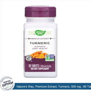 Nature_s_Way__Premium_Extract__Turmeric__500_mg___60_Tablets.jpg