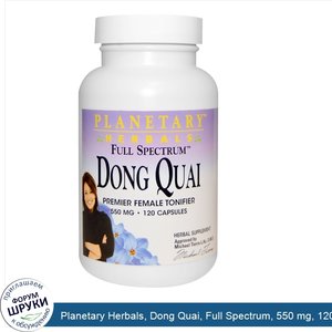 Planetary_Herbals__Dong_Quai__Full_Spectrum__550_mg__120_Capsules.jpg