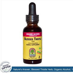 Nature_s_Answer__Blessed_Thistle_Herb__Organic_Alcohol__1_fl_oz__30_ml_.jpg