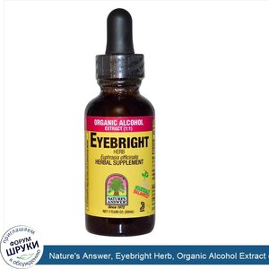 Nature_s_Answer__Eyebright_Herb__Organic_Alcohol_Extract__1_1___1_fl_oz__30_ml_.jpg