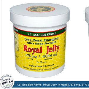 Y.S._Eco_Bee_Farms__Royal_Jelly_In_Honey__675_mg__21.0_oz__595_g_.jpg