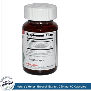 Nature_s_Herbs__Broccoli_Extract__250_mg__60_Capsules.jpg