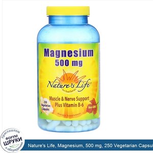 Nature_s_Life__Magnesium__500_mg__250_Vegetarian_Capsules.jpg