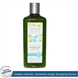 Andalou_Naturals__Clementine_Ginger_Energizing_Shower_Gel__11_fl_oz__326_ml_.jpg