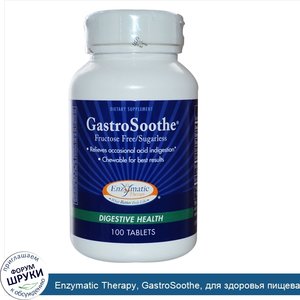 Enzymatic_Therapy__GastroSoothe__для_здоровья_пищеварения__без_фруктозы_и_сахара__100_таблеток.jpg