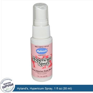 Hyland_s__Hypericum_Spray__1_fl_oz__30_ml_.jpg