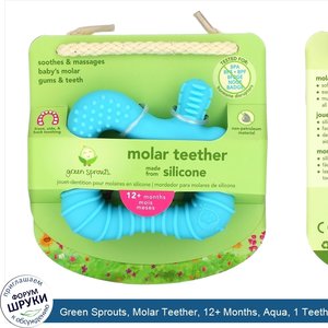 Green_Sprouts__Molar_Teether__12__Months__Aqua__1_Teether.jpg