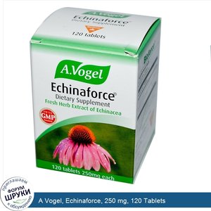 A_Vogel__Echinaforce__250_mg__120_Tablets.jpg