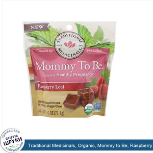 Traditional_Medicinals__Organic__Mommy_to_Be__Raspberry_Leaf__14_Individually_Wrapped_Chews__2...jpg