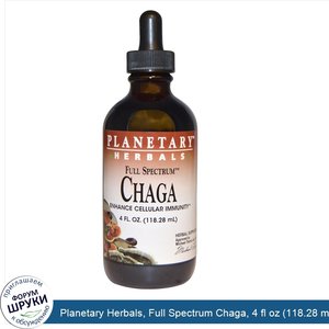 Planetary_Herbals__Full_Spectrum_Chaga__4_fl_oz__118.28_ml_.jpg