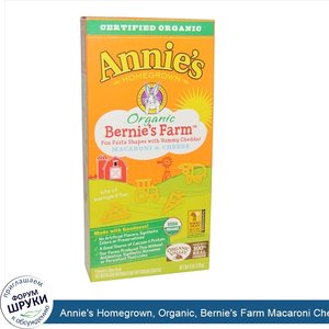 Annie_s_Homegrown__Organic__Bernie_s_Farm_Macaroni_Cheese__6_oz__170_g_.jpg