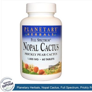 Planetary_Herbals__Nopal_Cactus__Full_Spectrum__Prickly_Pear_Cactus__1_000_mg__60_Tablets.jpg