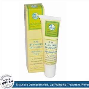 MyChelle_Dermaceuticals__Lip_Plumping_Treatment__Refreshing_Mint__.5_fl_oz__15_ml_.jpg