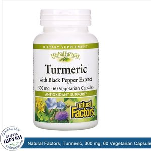 Natural_Factors__Turmeric__300_mg__60_Vegetarian_Capsules.jpg