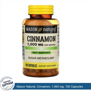 Mason_Natural__Cinnamon__1_000_mg__100_Capsules.jpg