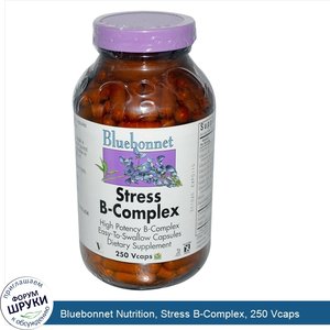 Bluebonnet_Nutrition__Stress_B_Complex__250_Vcaps.jpg